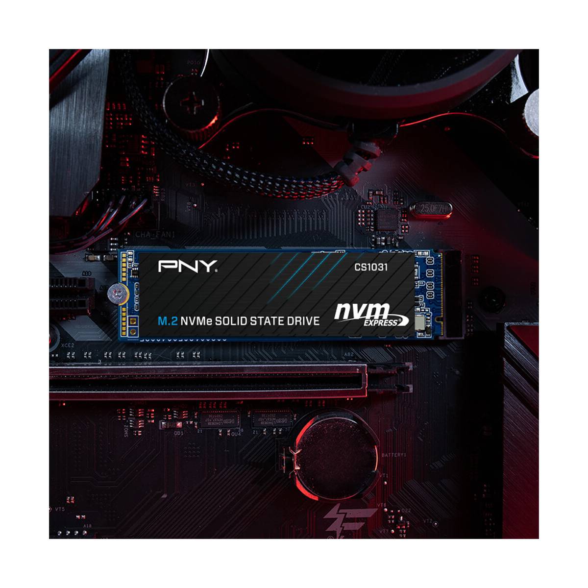 PNY CS1031 M.2 2280 NVMe Gen3x4 SOLID STATE DRIVE | Berdaya